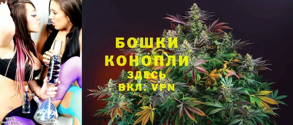 соль ск Лиски