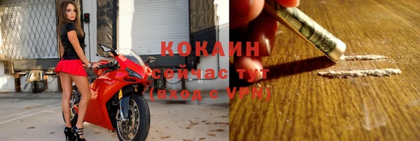 соль ск Лиски